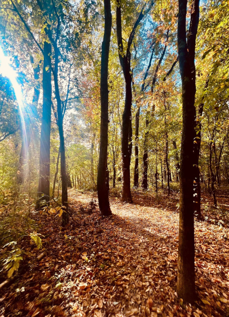 River Park Trail