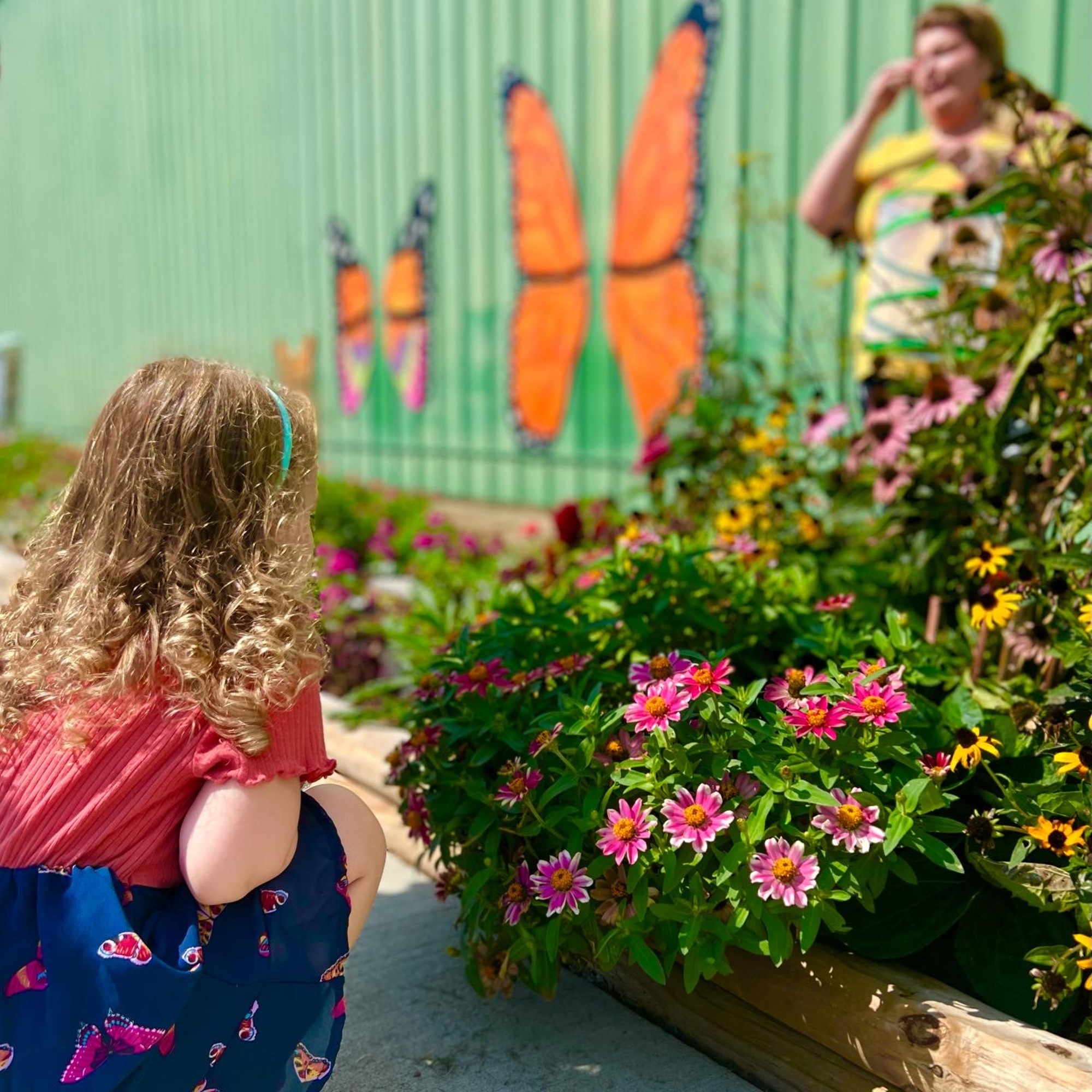 Butterfly Mural